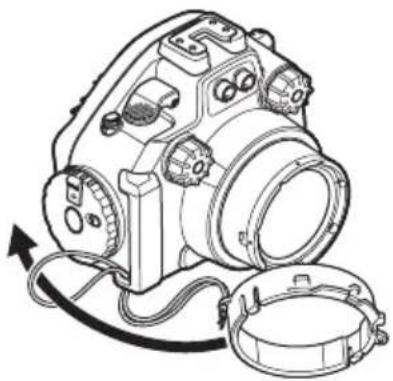 OLYMPUS PTEP13 - Verwendung des Blitzlichtdiffusors - 1