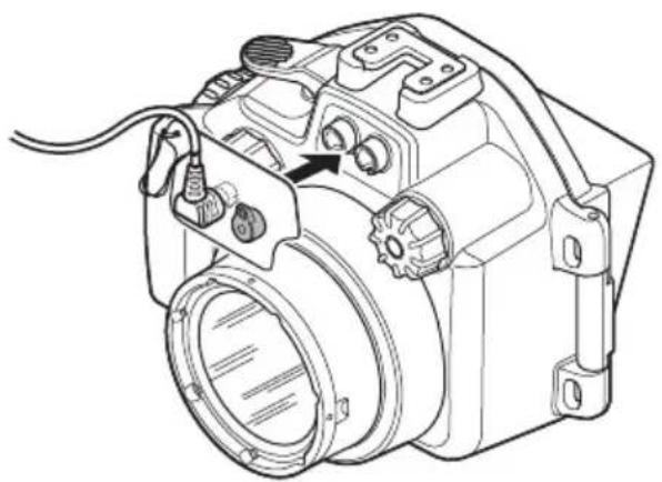 OLYMPUS PTEP13 - Connecting the underwater flash - 2