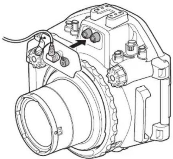 OLYMPUS PTEP14 - Wie Sie das Unterwasser-Glasfaserkabel anschließen - 2