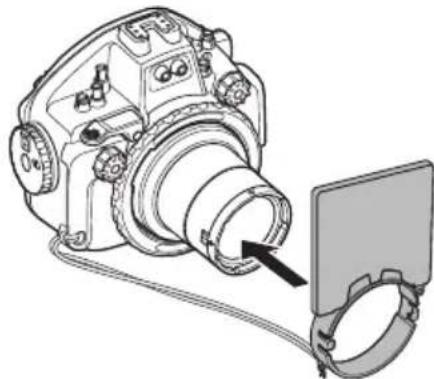 OLYMPUS PTEP14 - Verwendend des Blitzlichtdiffusors - 3
