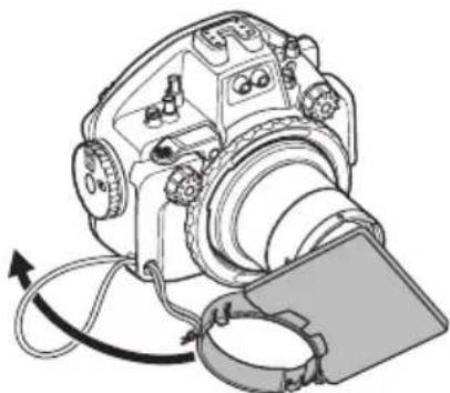 OLYMPUS PTEP14 - Verwendend des Blitzlichtdiffusors - 2