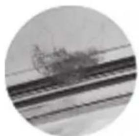 OLYMPUS PTEP14 - 如何對O-ring塗抹油脂 - 2