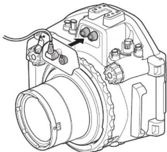 OLYMPUS PTEP14 - Comment raccorder le cable fibre optique sous-marin - 2