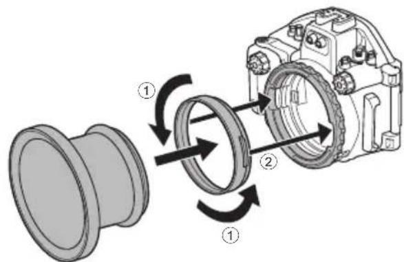 OLYMPUS PTEP14 - 端斯托巨塞尔( - 3