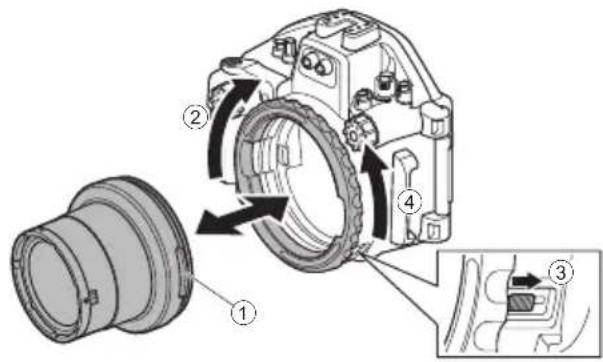 OLYMPUS PTEP14 - 端斯托巨塞尔( - 1
