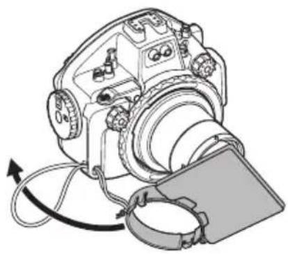 OLYMPUS PTEP14 - 使用擴散板 - 2