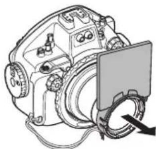 OLYMPUS PTEP14 - Using the diffuser - 4
