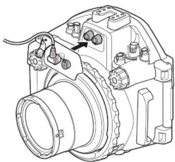 OLYMPUS PTEP14 - ¿Cómo conectar el flash submarino? - 2