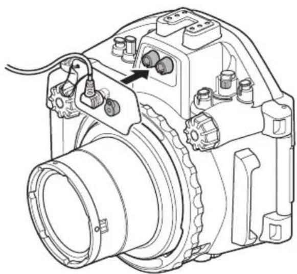 OLYMPUS PTEP14 - Connecting the underwater optical fiber cable - 2