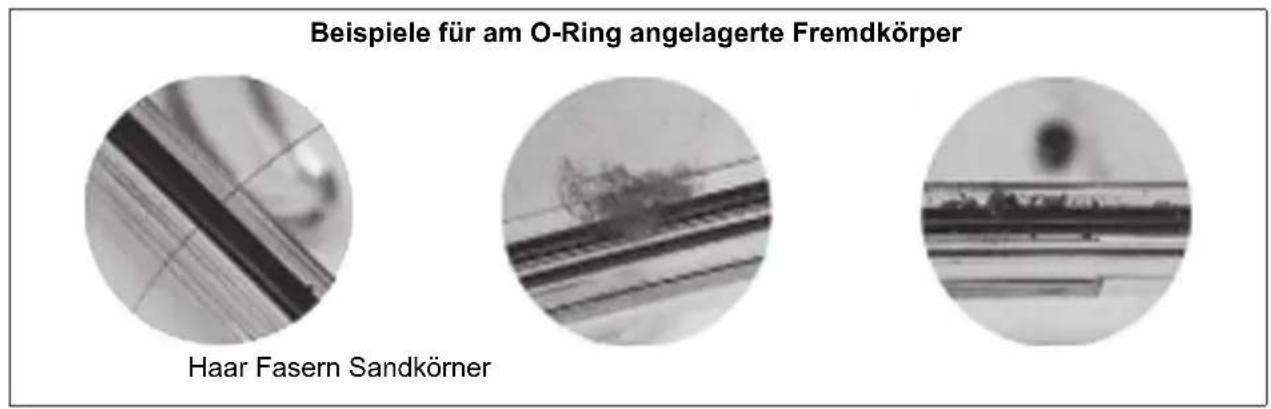 OLYMPUS PTEP14 - Einfetten des O-Rings - 1