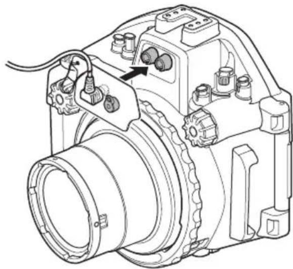 OLYMPUS PTEP14 - 次中增相属用凯贝将 - 2