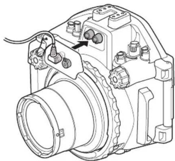 OLYMPUS PTEP14 - 水中光菲尔一的接统 - 2