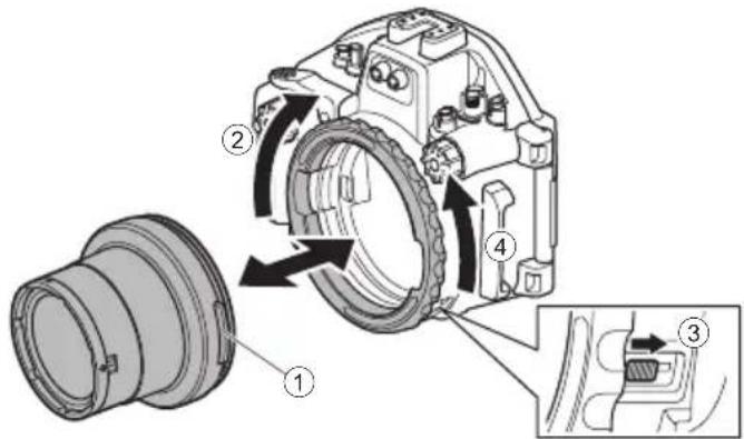 OLYMPUS PTEP14 - Entfernung - 1