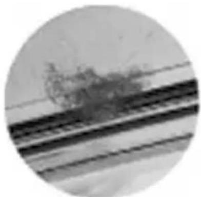 OLYMPUS PT058 - リングへのgrIS塗布方法 - 2