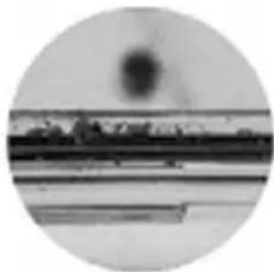 OLYMPUS PT058 - リングへのgrIS塗布方法 - 3