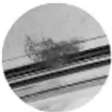 OLYMPUS PT058 - Beispiele für am O-Ring angelagerte Fremdkörper - 2