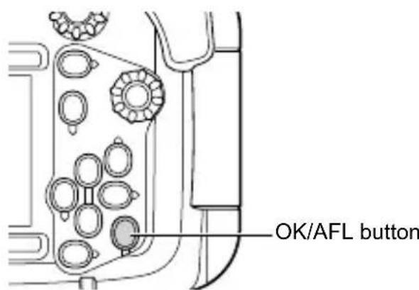 OLYMPUS PT058 - Locking AF during underwater shooting - 1
