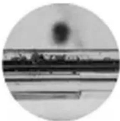 OLYMPUS PT058 - Beispiele für am O-Ring angelagerte Fremdkörper - 3