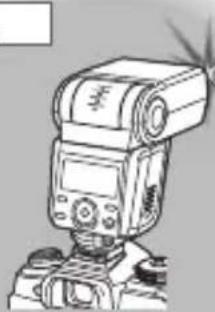OLYMPUS FRWR - nauA - 1