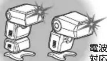 OLYMPUS FRWR - glulB - 1