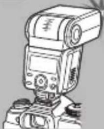 OLYMPUS FRWR - glul-#A - 1