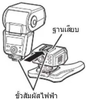 OLYMPUS FRWR - 2 - 6
