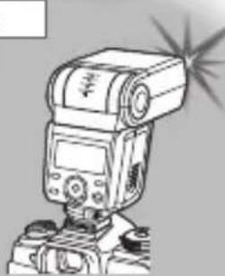 OLYMPUS FRWR - 二备B - 2