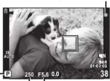 OLYMPUS PEN EPL2 - Prenez des photos. - 1