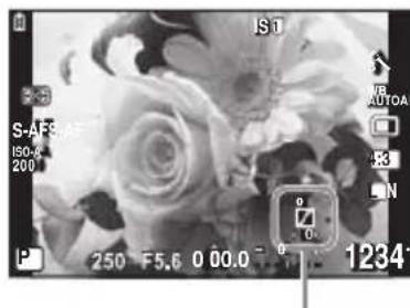 OLYMPUS PEN EPL2 - Modification de la brillance des points culminants et des ombres - 2