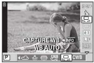 OLYMPUS PEN EPL2 - Balance des blancs de referencia rapide - 1