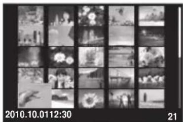 OLYMPUS PEN EPL2 - ■ Affichage de l'index/Affichage du calendrier - 1