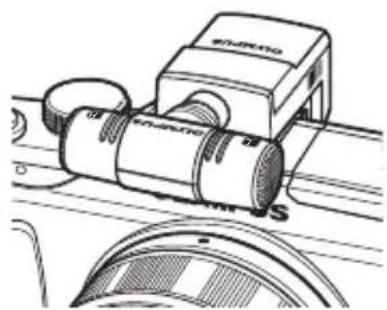 OLYMPUS PEN EPL2 - Eclairage macro directionnel (MAL-1) - 2
