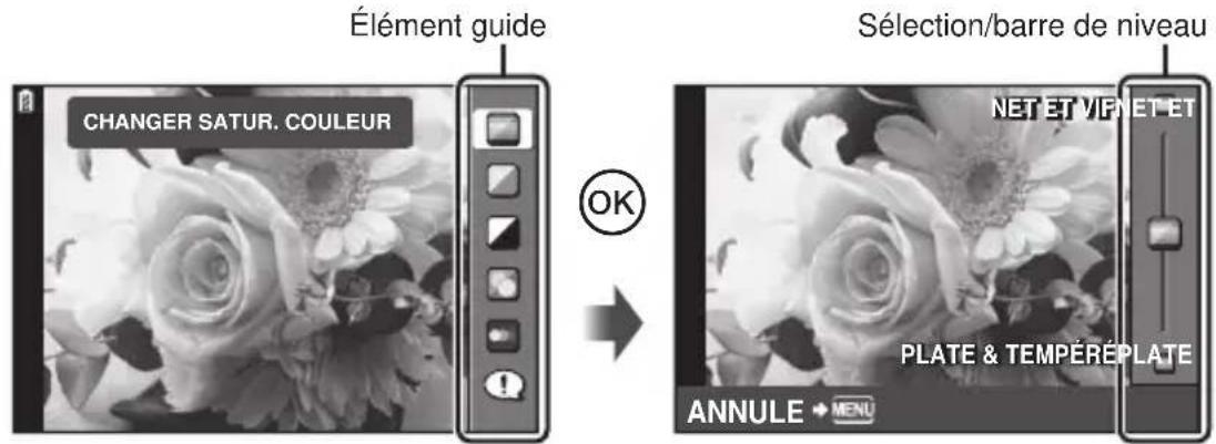 OLYMPUS PEN EPL2 - Utilisation des guides en direct - 1