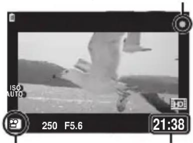 OLYMPUS PEN EPL2 - Enregistrement de videos avec le déclencheur - 1