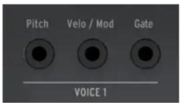 Arturia Keystep Pro - Tensions de contrôle : Pitch, Velo/Mod et Gate - 1
