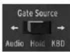 Arturia Minibrute Special Edition - Gate Source - 1