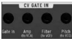 Arturia Minibrute Special Edition - CV / GATE IN - 1