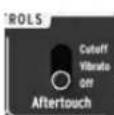 Arturia Minibrute Special Edition - Aftertouch - 1