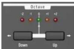 Arturia Minibrute Special Edition - Octave - 1