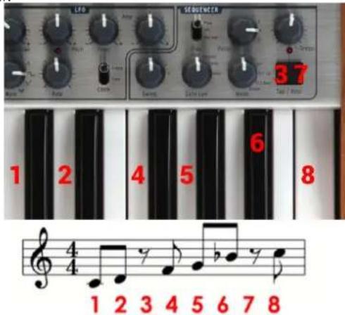 Arturia Minibrute Special Edition - Tap / Rest - 1