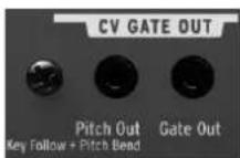 Arturia Minibrute Special Edition - CV / GATE OUT - 1