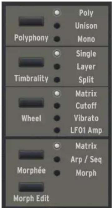 Arturia Polybrute Connect - Interrupteurs - 1