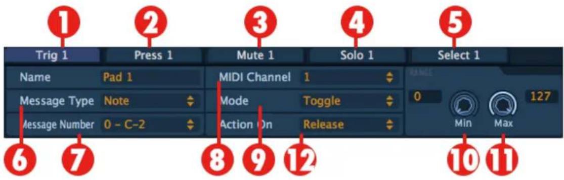 Arturia Spark Dubstep - Editer une fenêtre d'instrument Pad - 1