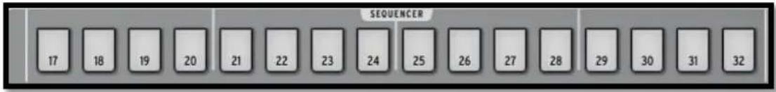 Arturia Spark Dubstep - Les Pads de pas - 1