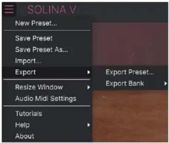 Arturia Solina V - Export - 1