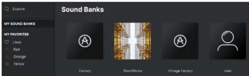 Arturia Solina V - My sound banks [mes banques de sons] - 1