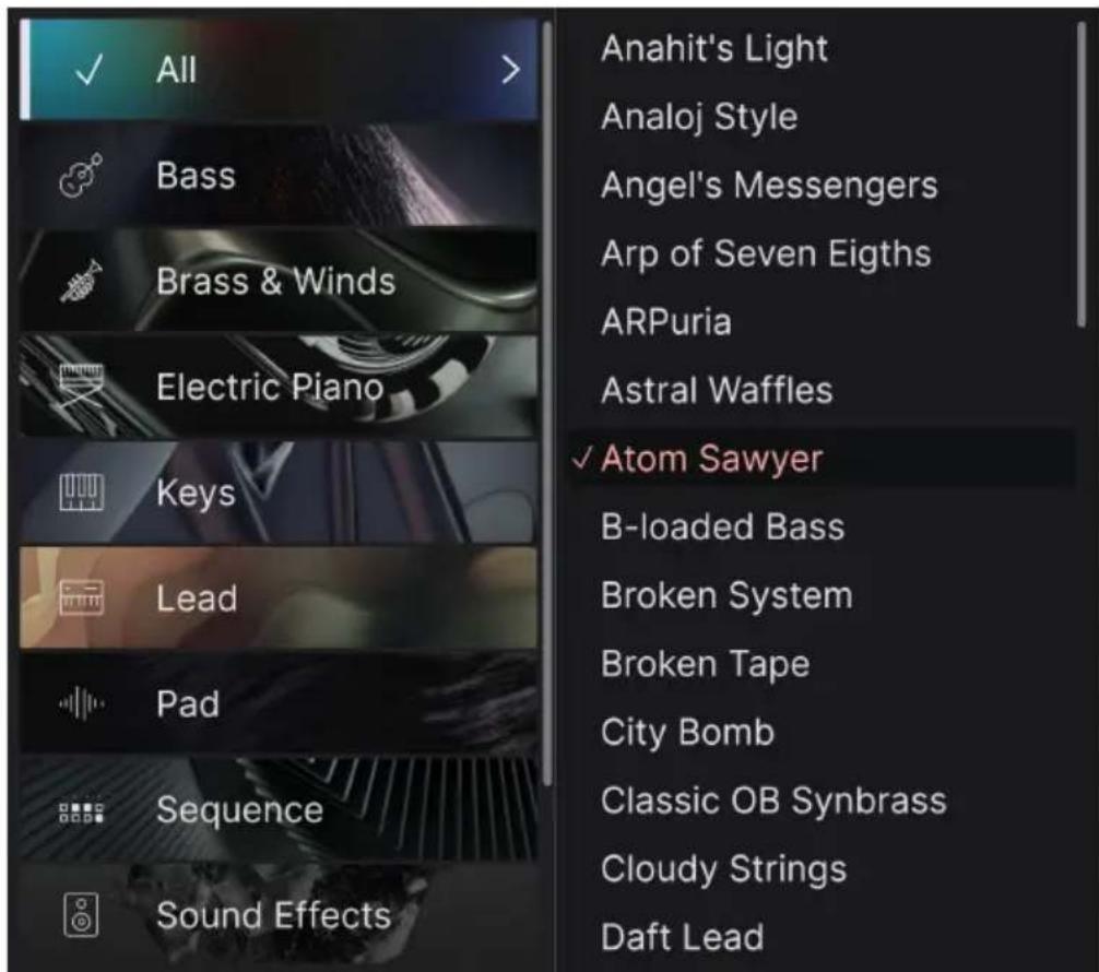 Arturia Sem V - フリセットシャウズへのアクsesとネーリムロー - 2