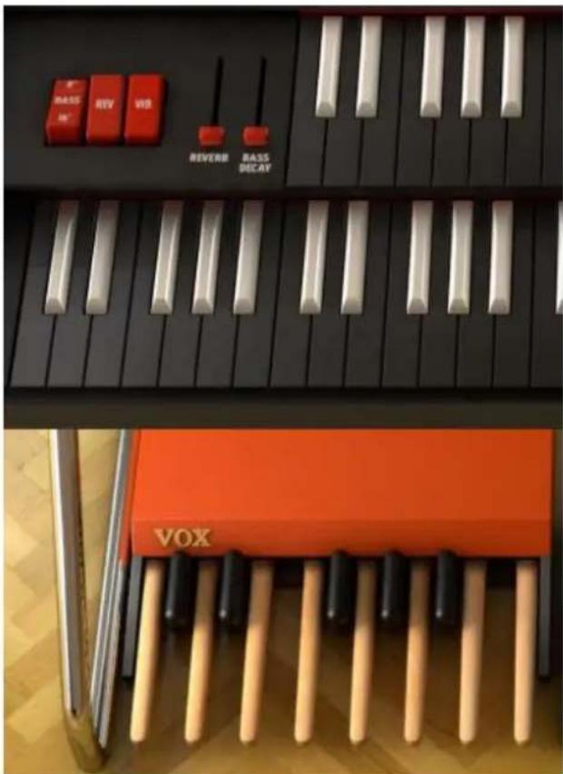 Arturia VOX Continental V - Claviers virtuels et pédales - 1