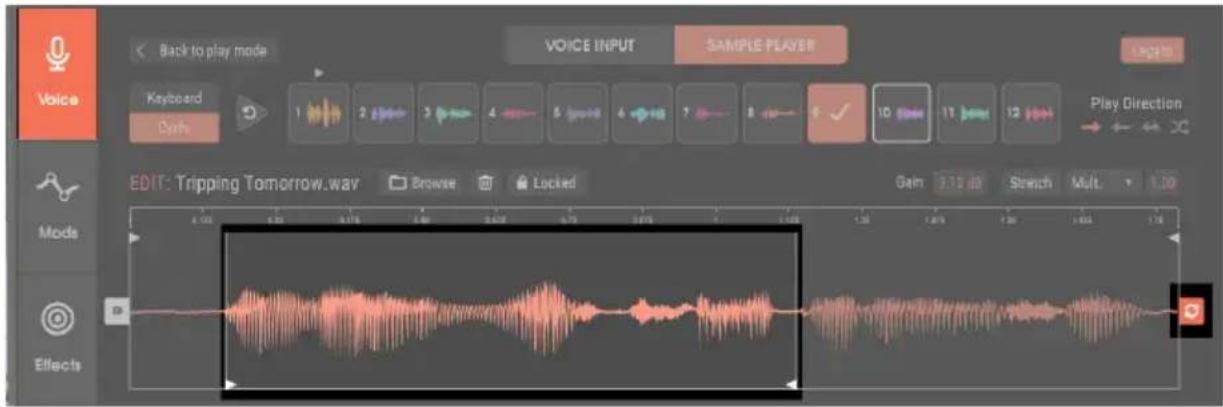 Arturia Vocoder V - Boucler à l'intérieur d'un échantillon - 1