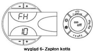FERROLI Atlas D Eco Si Unit - Zapłon kotła - 1